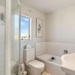 Rent 2 bedroom apartment in Freemans Bay