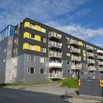 Rent 1 bedroom apartment of 20 m² in Trondheim