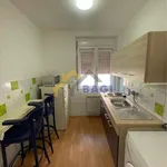 Najam 5 spavaće sobe stan od 200 m² u City of Zagreb