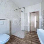 Rent 2 bedroom apartment in Capital City of Prague