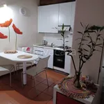 Rent 2 bedroom apartment of 40 m² in Parma