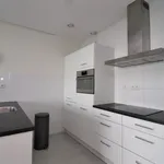 Rent 2 bedroom apartment of 77 m² in Rotterdam