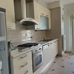 Rent 3 bedroom apartment of 80 m² in Trento