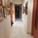 Rent 3 bedroom apartment of 115 m² in Messina