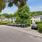 Rent 3 bedroom apartment of 73 m² in Hørsholm