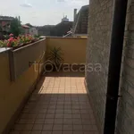 Rent 3 bedroom apartment of 90 m² in Lissone