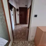 Rent 2 bedroom apartment of 70 m² in bologna