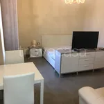 Rent 1 bedroom apartment of 45 m² in Cremona