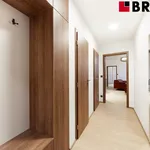 Rent 2 bedroom apartment of 59 m² in Brno