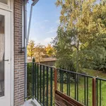 Huur 2 slaapkamer appartement van 76 m² in Breda