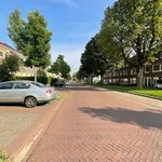 Rent a room of 25 m² in Groene Weide