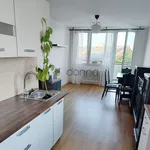 Pronajměte si 3 ložnic/e byt o rozloze 63 m² v Prague