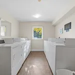 Rent 1 bedroom apartment in Windsor, ON