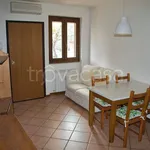 Rent 3 bedroom apartment of 55 m² in Cavriglia