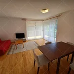 Rent 2 bedroom apartment of 100 m² in Budapest