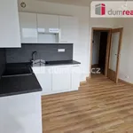 Rent 2 bedroom apartment of 55 m² in České Budějovice