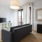 Rent 3 bedroom apartment of 100 m² in Firenze