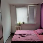 Pronajměte si 2 ložnic/e byt o rozloze 43 m² v Prague