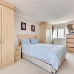 Rent 4 bedroom house in Hove