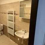 Rent 1 bedroom house in Bruntál