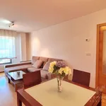 Rent 1 bedroom apartment of 52 m² in O Milladoiro