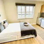 Rent 1 bedroom flat in london