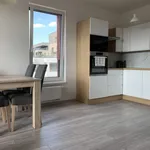 Rent 1 bedroom apartment of 54 m² in Prague