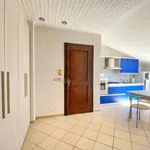 Rent 2 bedroom apartment of 54 m² in Turin