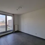 Rent 2 bedroom apartment in Zedelgem