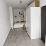 Rent 2 bedroom apartment in Vyškov