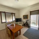 Rent 3 bedroom apartment of 60 m² in Porto San Giorgio