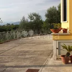 Rent 2 bedroom apartment of 60 m² in Frosinone