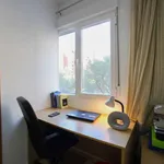 Rent a room in Valencia