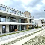 Rent 2 bedroom apartment in BAASRODE