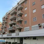 Rent 2 bedroom apartment of 60 m² in Rome