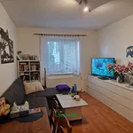 Pronájem bytu 2+kk 45 m²