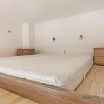 Rent 1 bedroom apartment of 15 m² in Brno