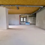 Rent 1 bedroom apartment in Grenoble