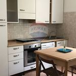 Rent 3 bedroom apartment of 65 m² in Ferrara