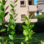 Rent 2 bedroom apartment of 55 m² in Lavagna