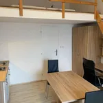 Rent 1 bedroom apartment in Brno