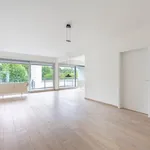 Rent 1 bedroom apartment in Brasschaat