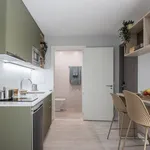 Alquilo 1 dormitorio apartamento de 15 m² en Seville