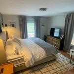 Rent 1 bedroom apartment in Concord