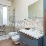 Rent 1 bedroom apartment of 50 m² in Bologna