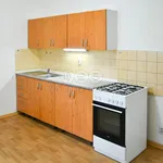 Rent 2 bedroom apartment of 60 m² in Ostrava