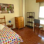 Rent a room in cordoba