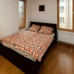 Pronajměte si 1 ložnic/e byt o rozloze 38 m² v Prague