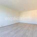 Rent 3 bedroom apartment of 76 m² in Brno