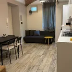 Rent 2 bedroom apartment of 60 m² in Turin